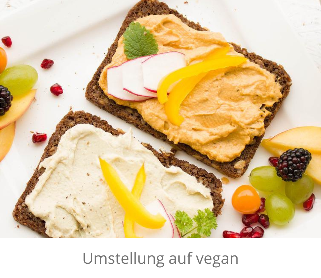 umstellungvegan