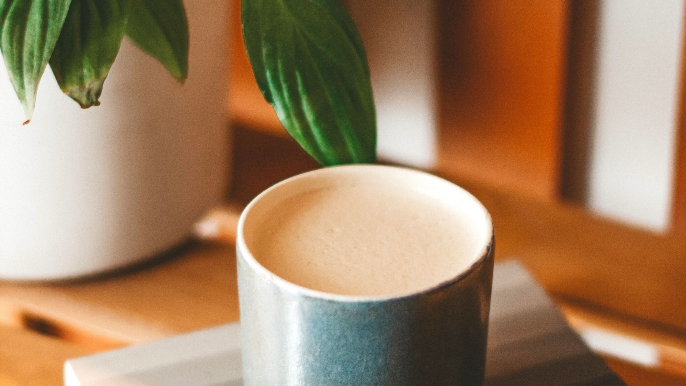 Vegane Moon-Milk