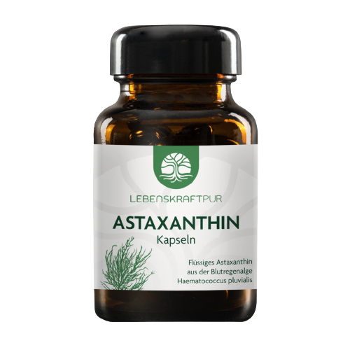 Astaxanthin Antioxidans