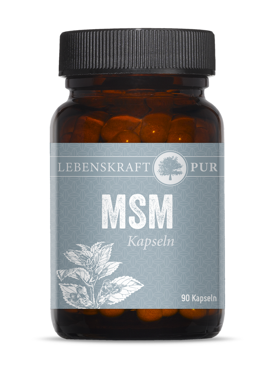 MSM_Kapseln_90_K_Produktbild_24032022_1592
